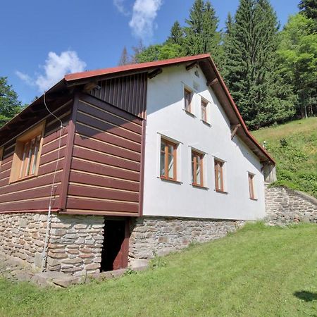 Chalupa Tomasek V Blizkosti Ski Arealu Dolni Dvur Zewnętrze zdjęcie